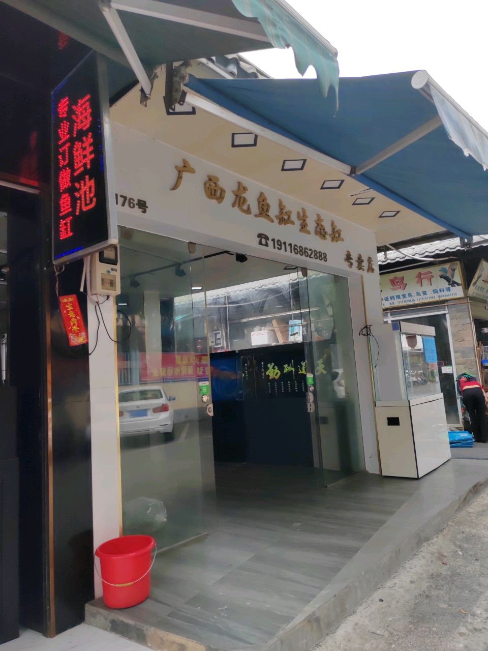 广西龙鱼缸生态缸专卖店