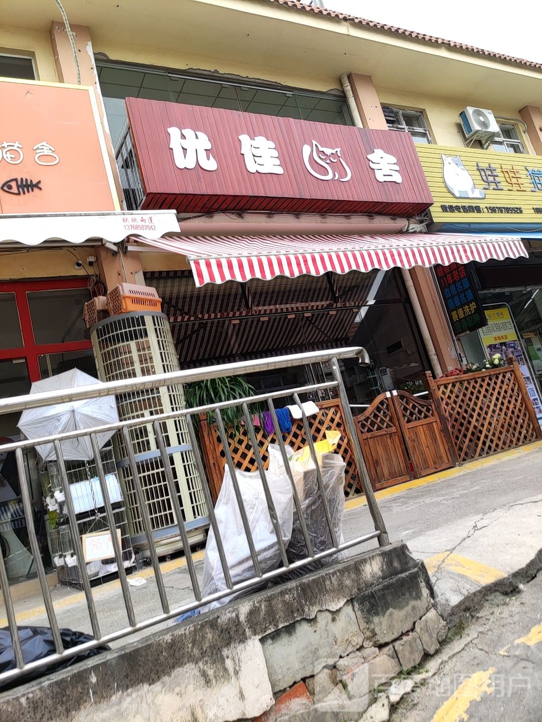 优佳猫舍(广西花鸟交易市场店)