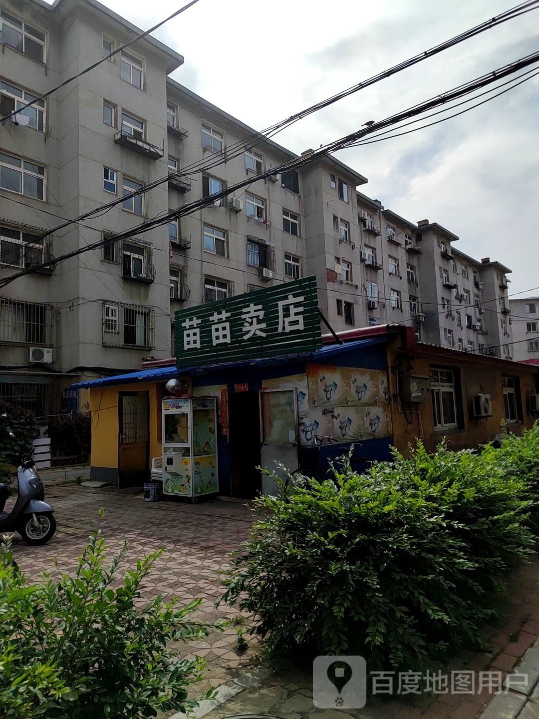苗苗卖店