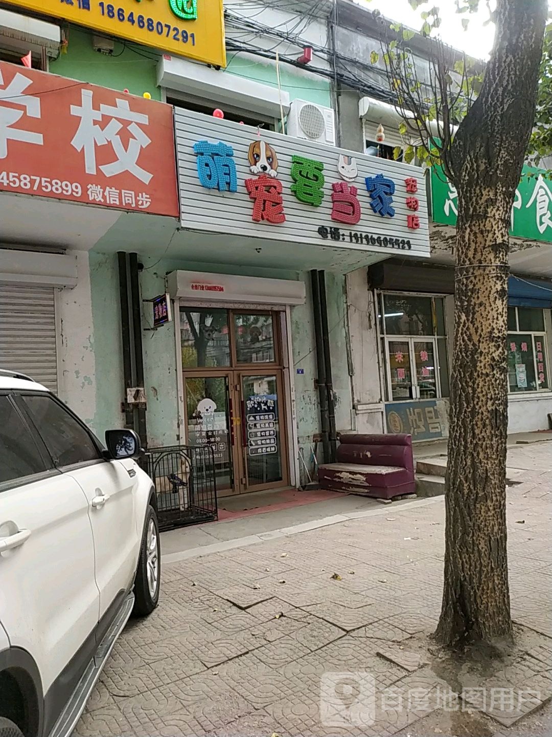 萌宠要当家宠物店