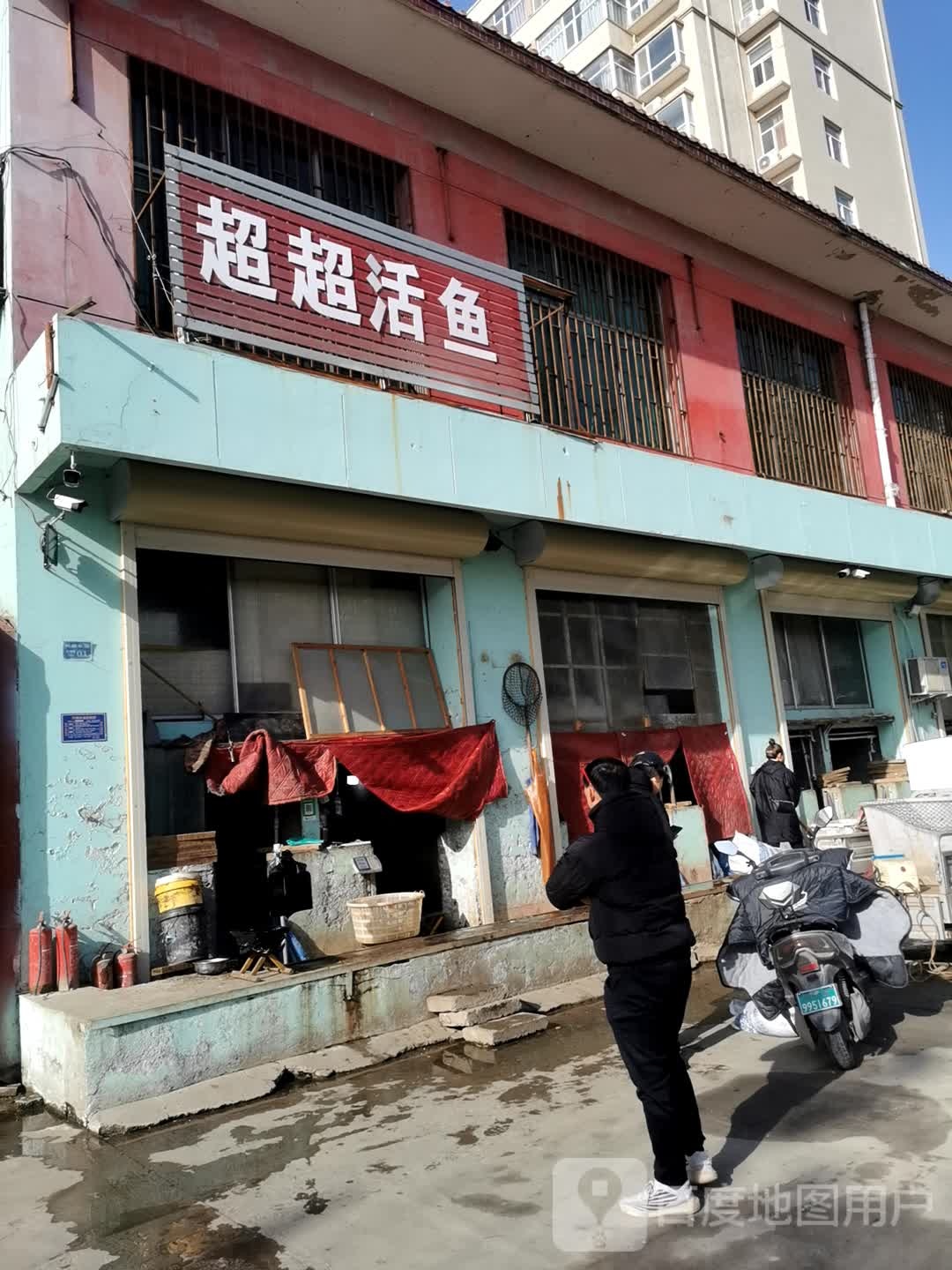 超超活鱼