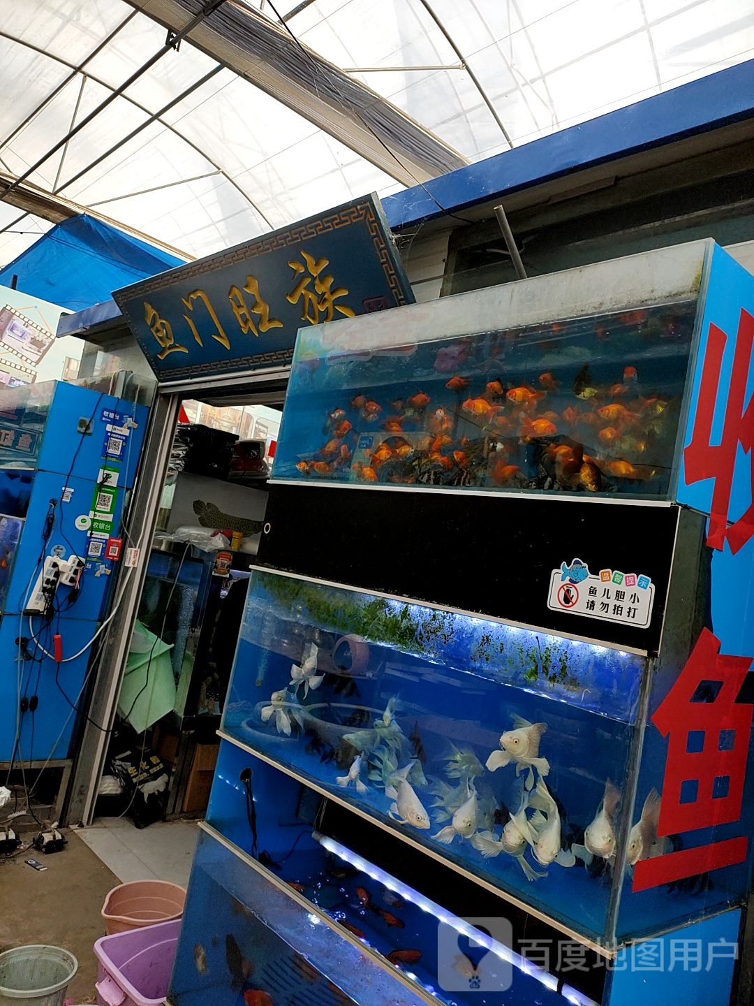 鱼门望族水族馆(莒州花卉市场店)