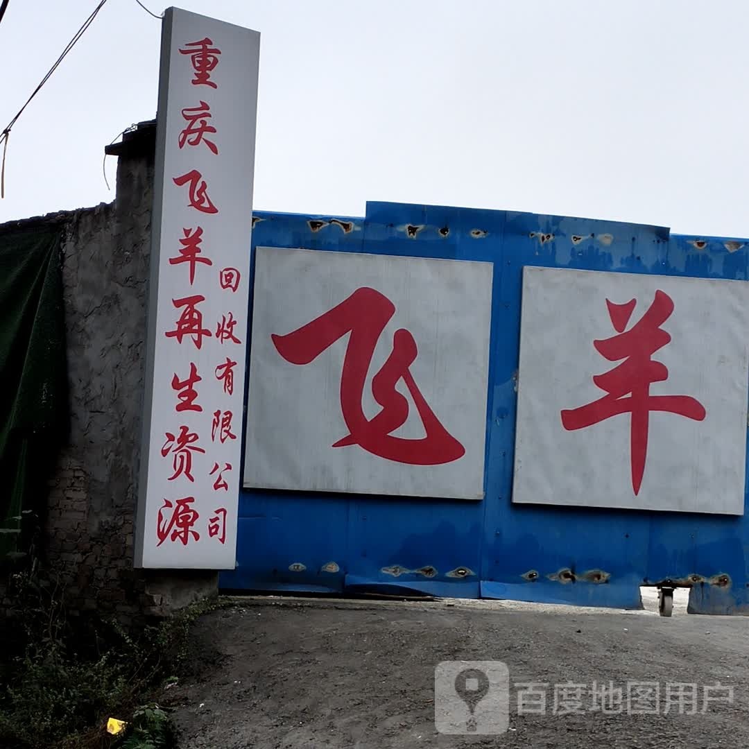重庆飞羊再生资源回收有限公司