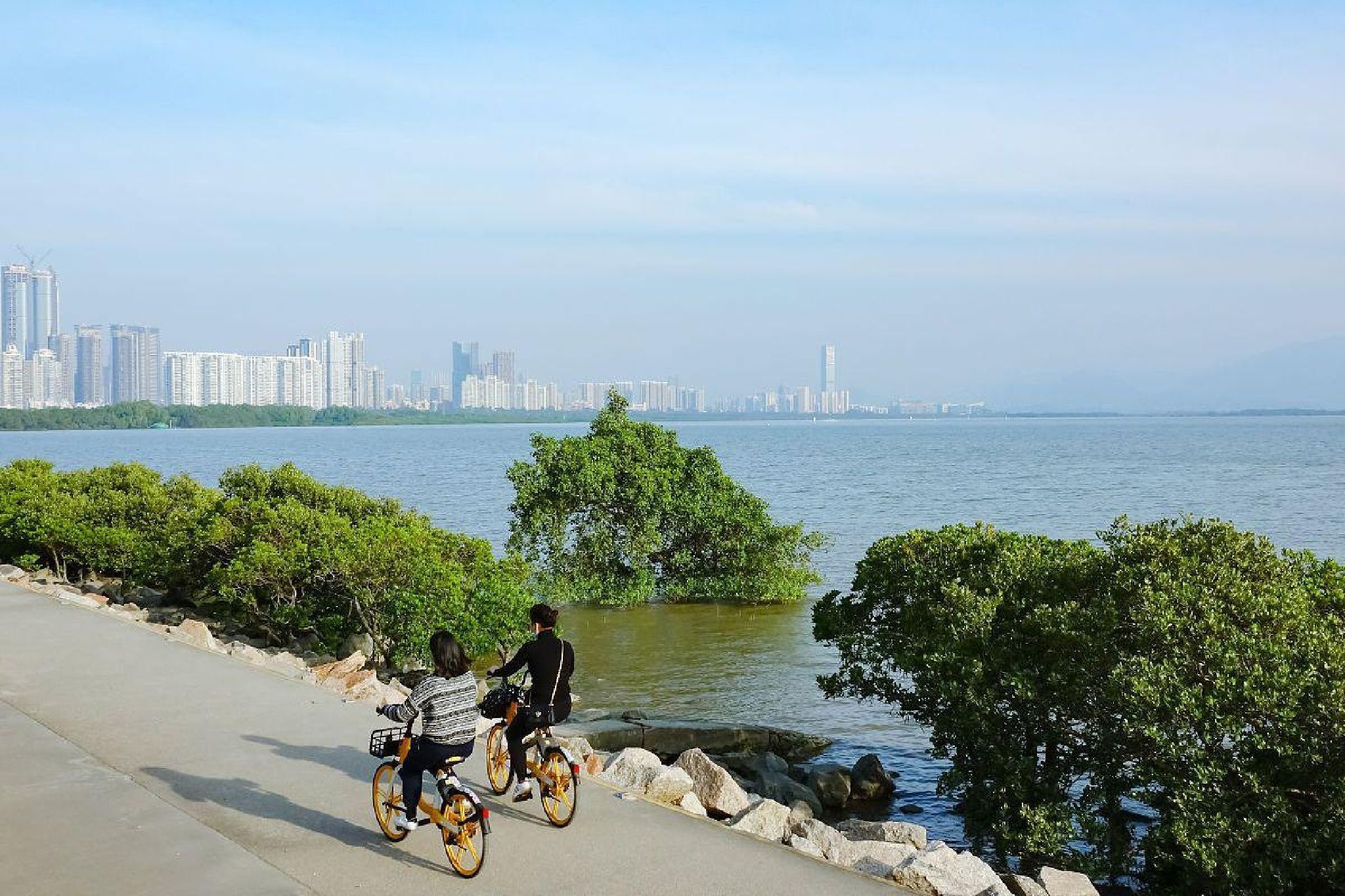 红树林海滨生态公园