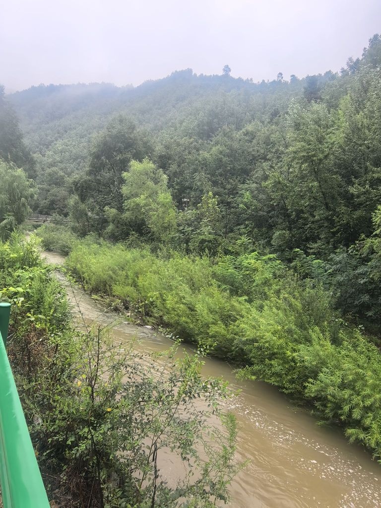 三条岭村