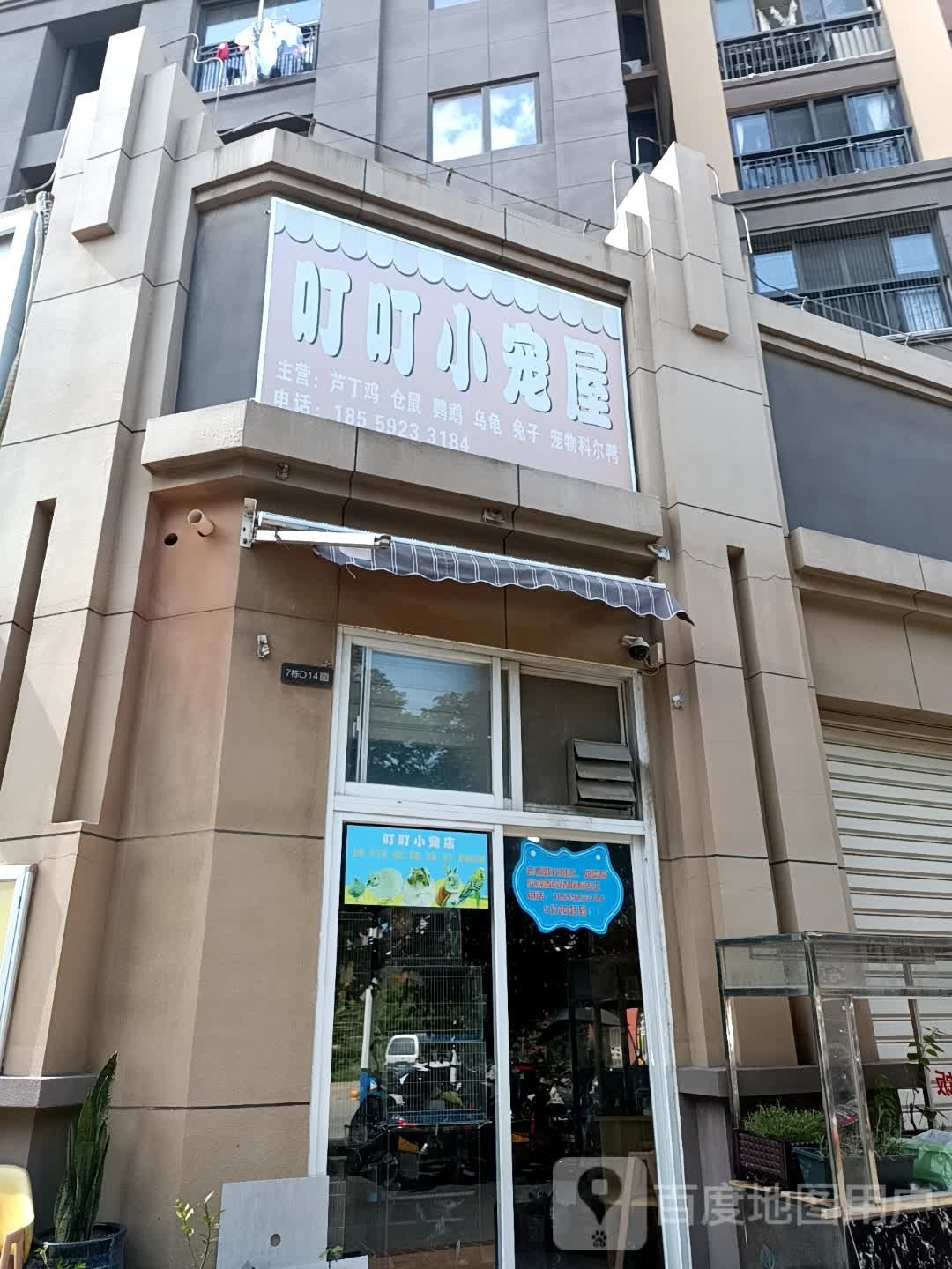 叮叮小宠屋