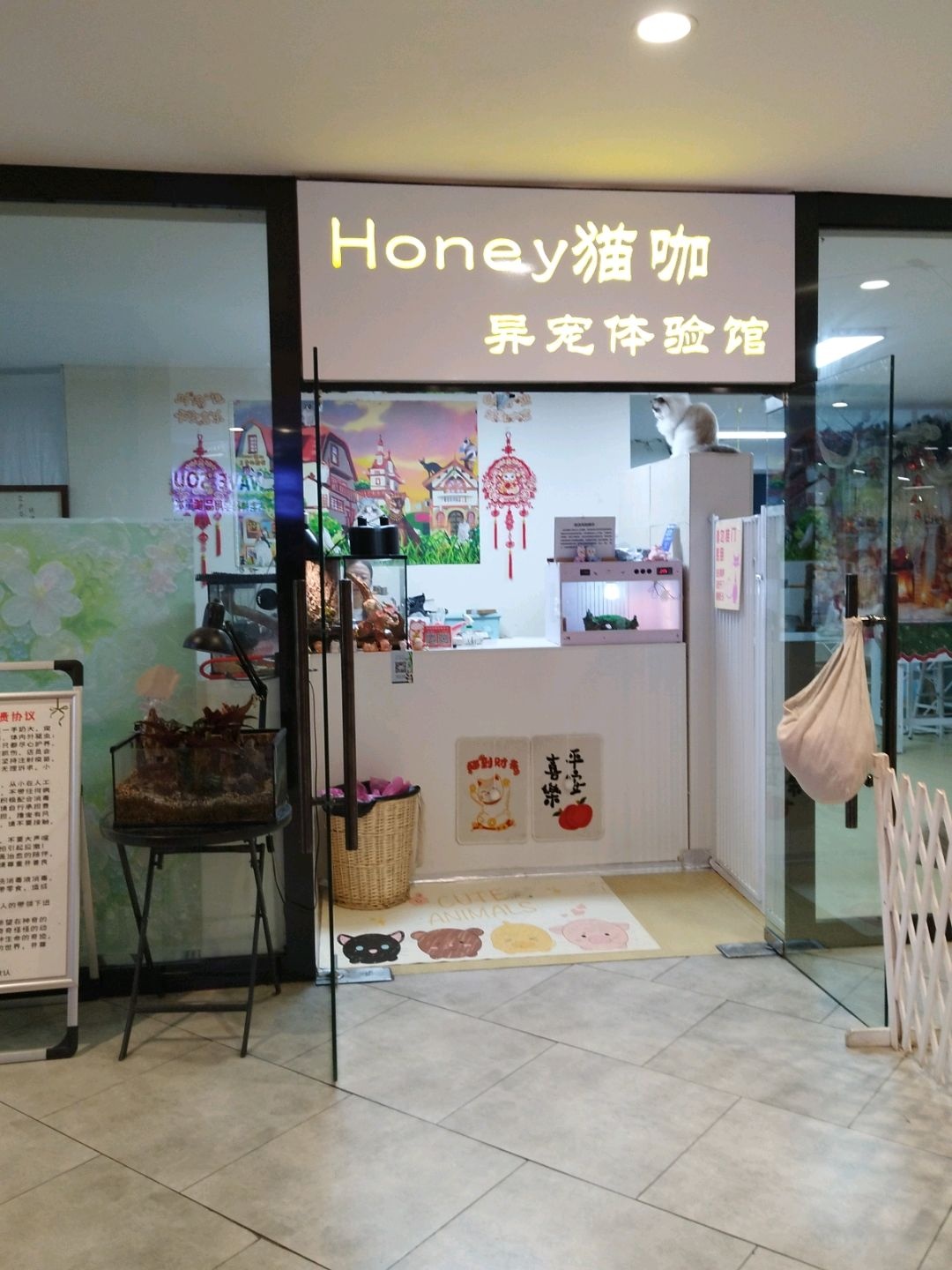 Honey猫馆·猫咖·异宠体验店(春熙路太古里IFS百盛店)