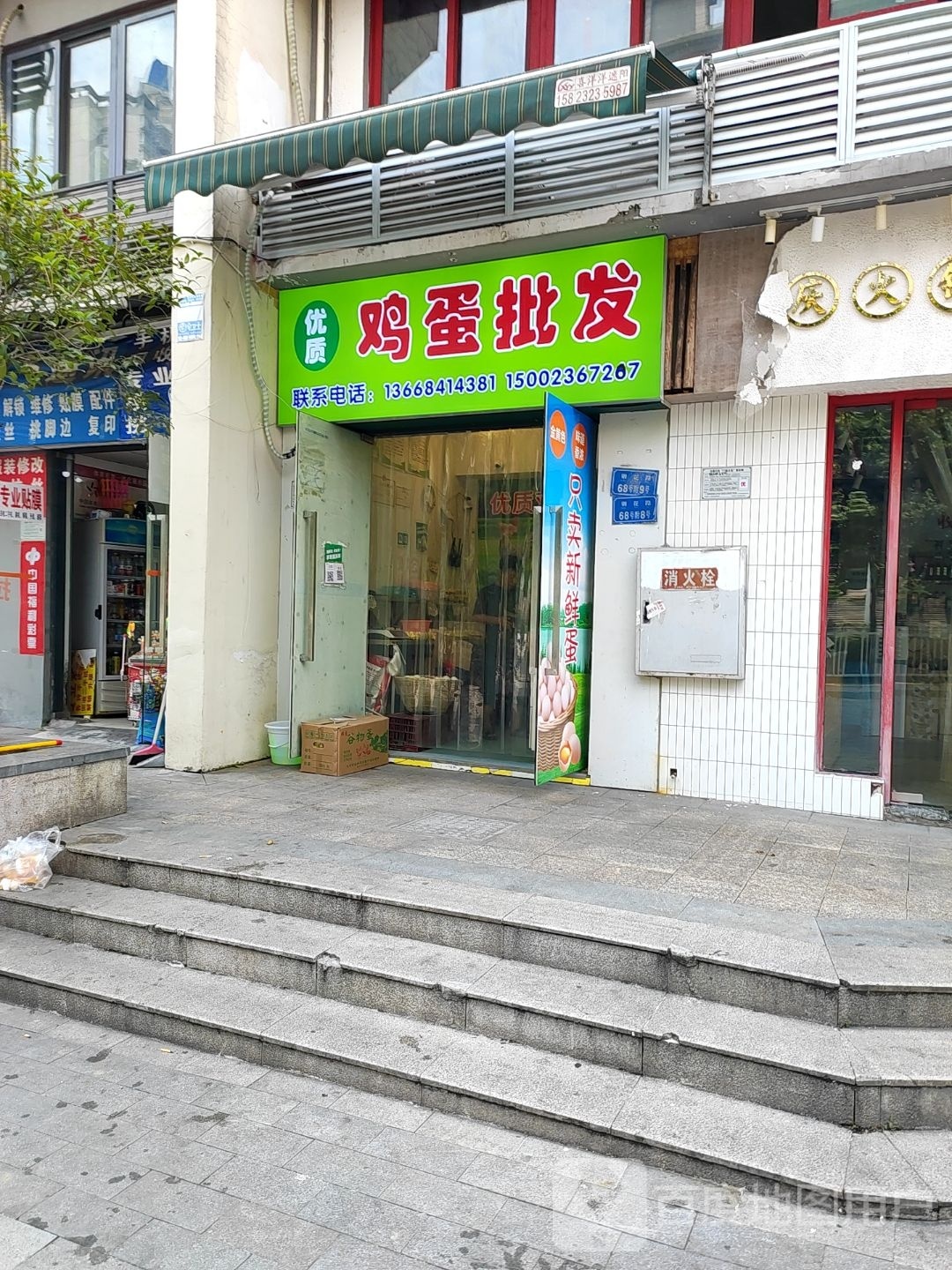 优质鸡禽批发