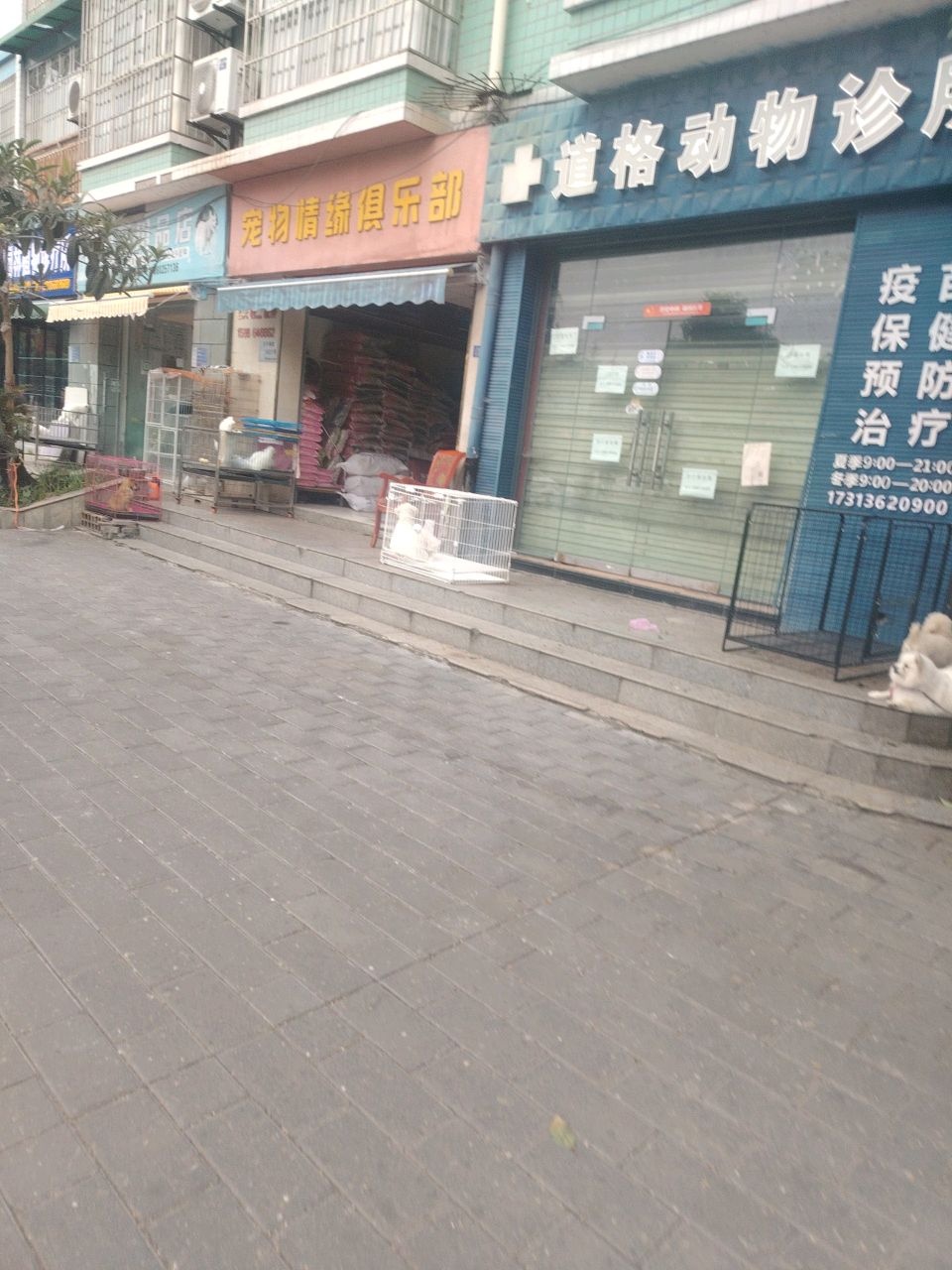 宠物情缘俱乐部