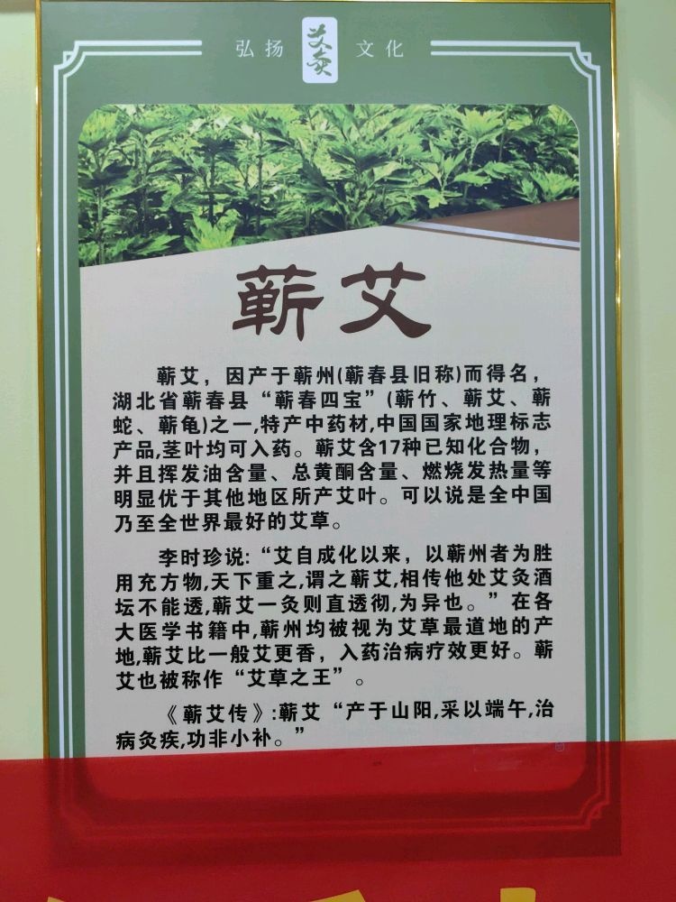 岐艾·艾灸馆