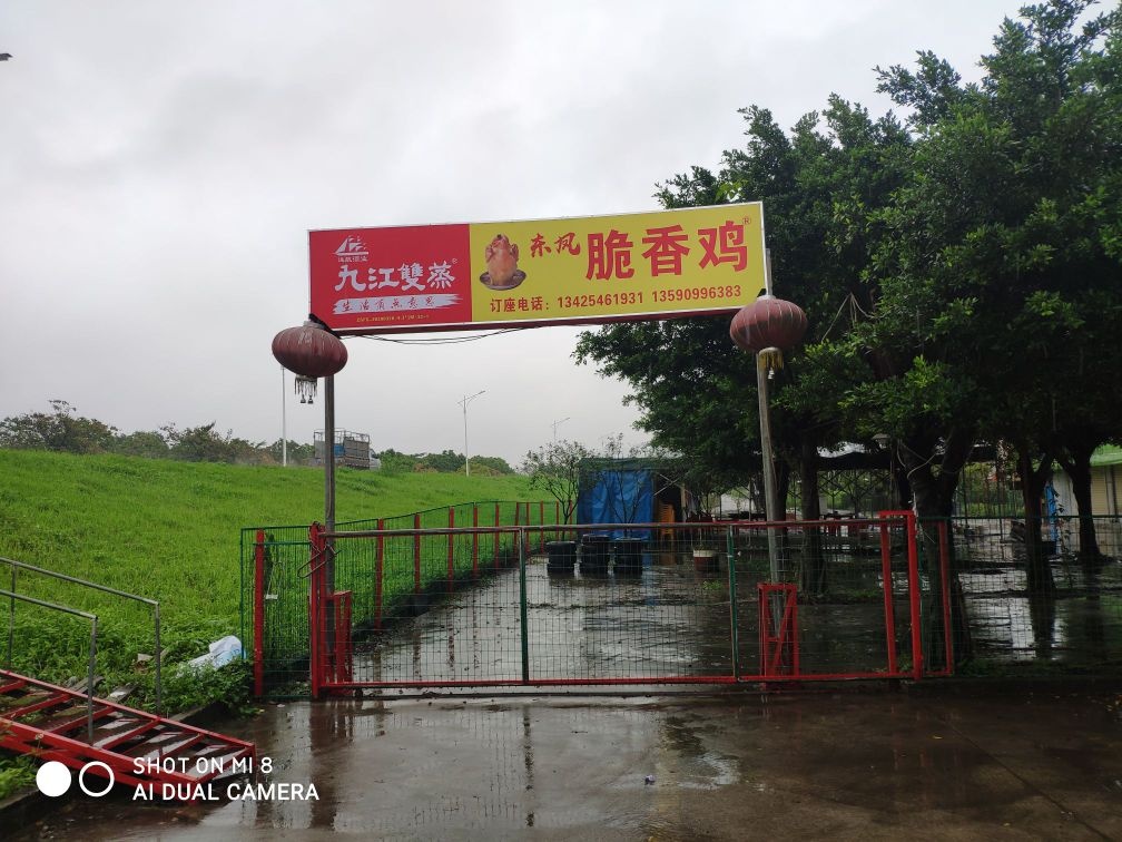 东凤脆香鸡(和泰总店)