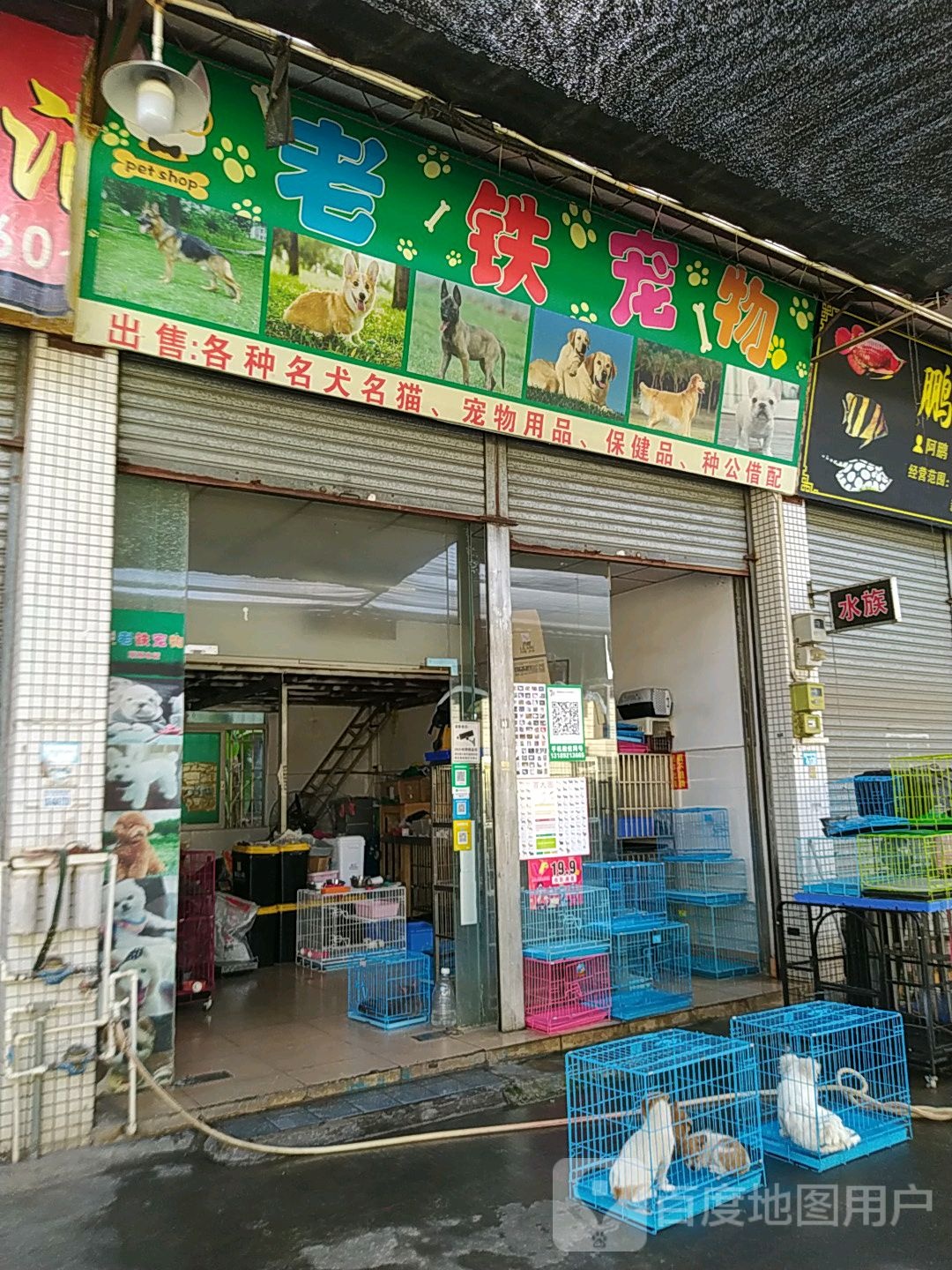 老铁宠物店