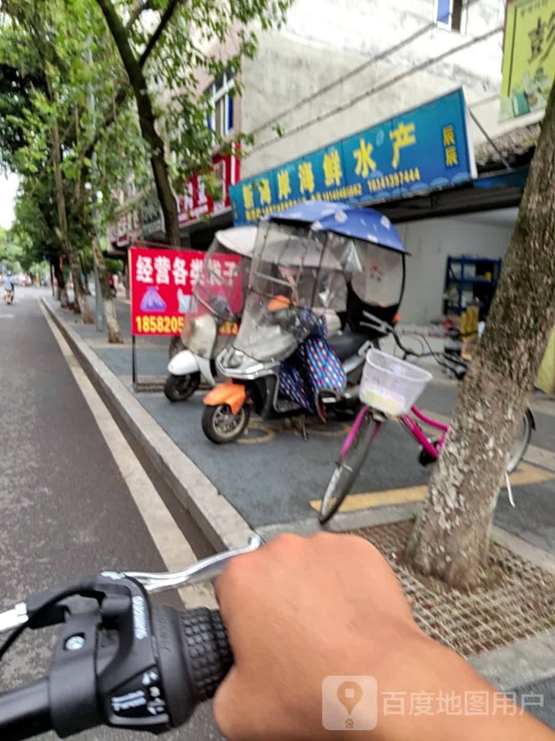新海岸东海鲜水产