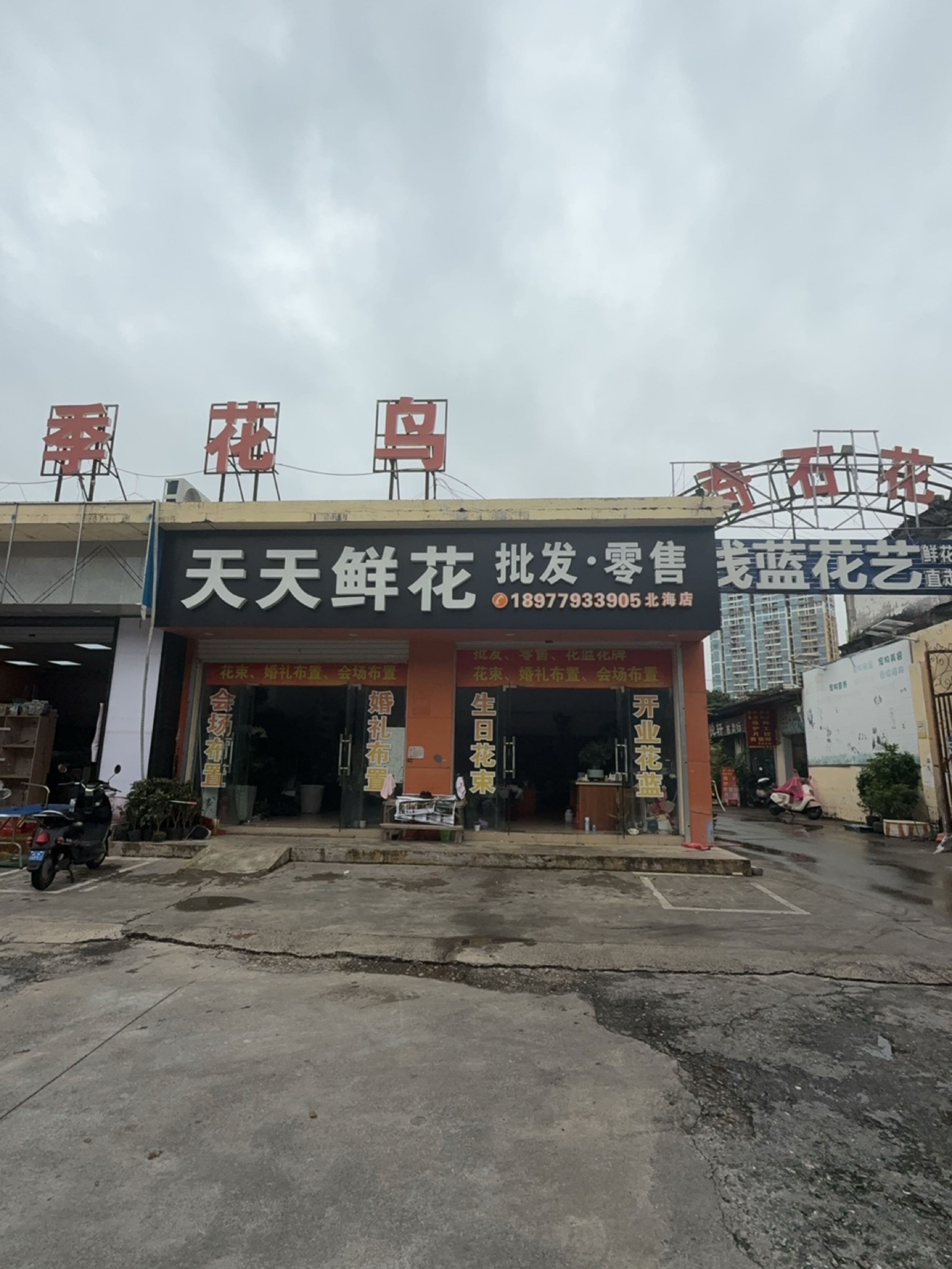 寻觅玉·奇石·花卉