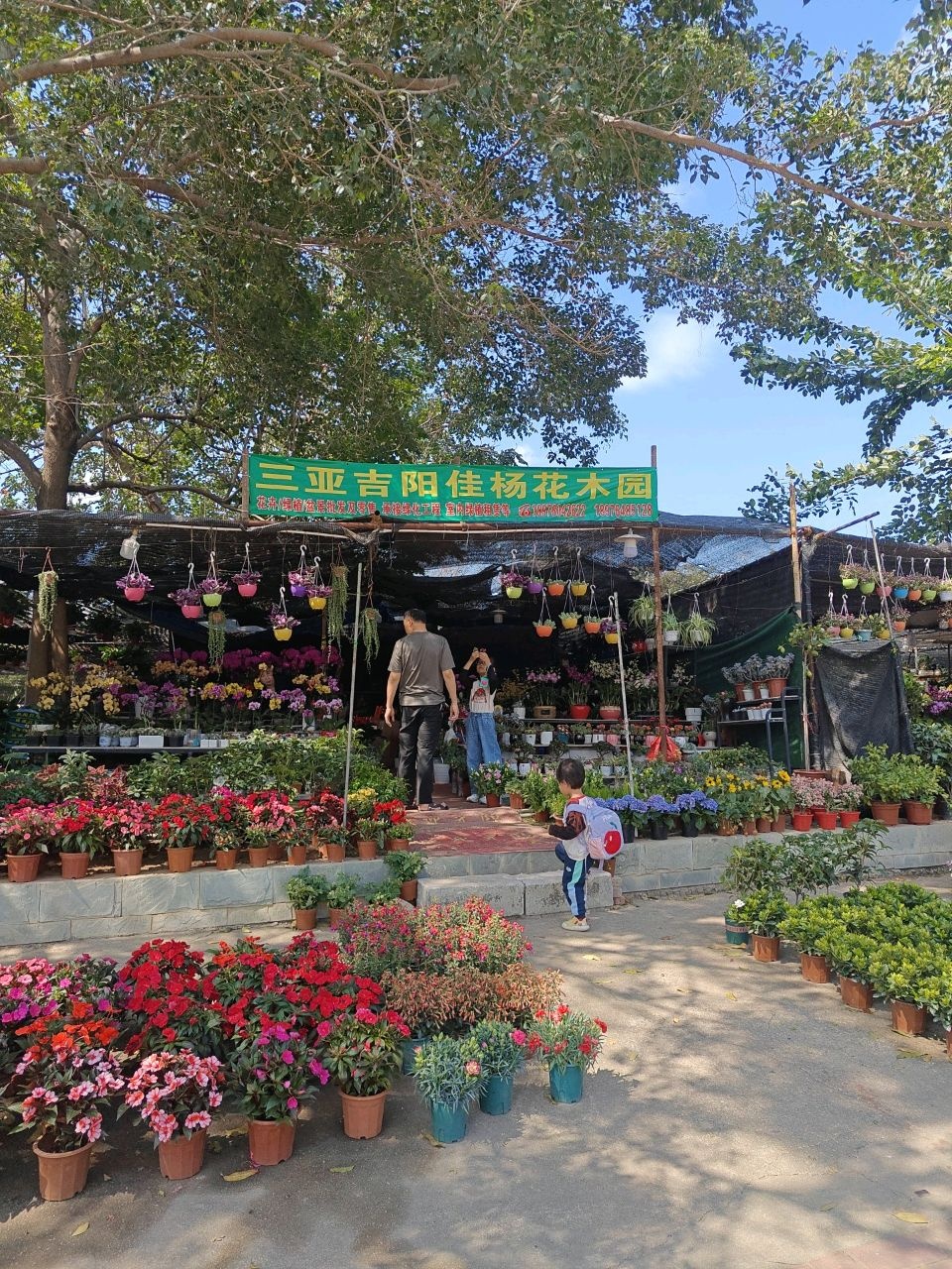 三亚吉阳佳杨花木园