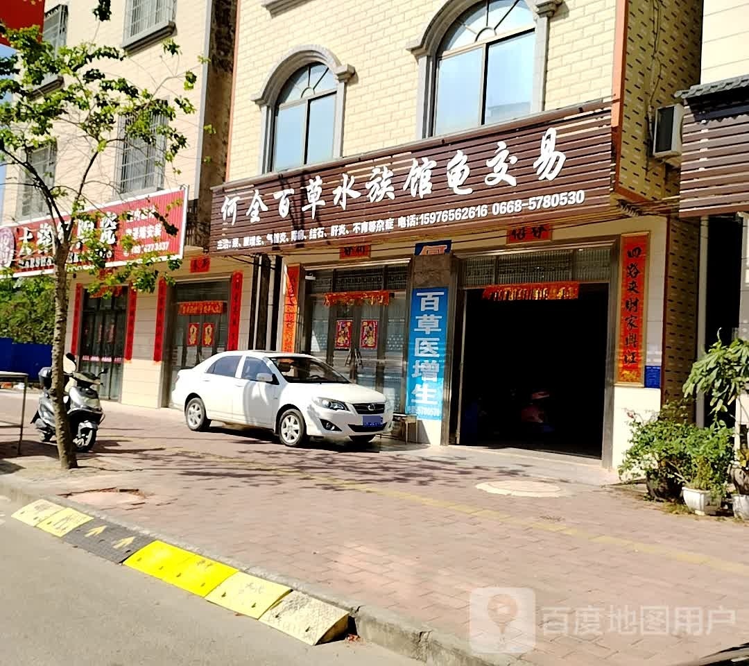 何全百草水族馆龟交易