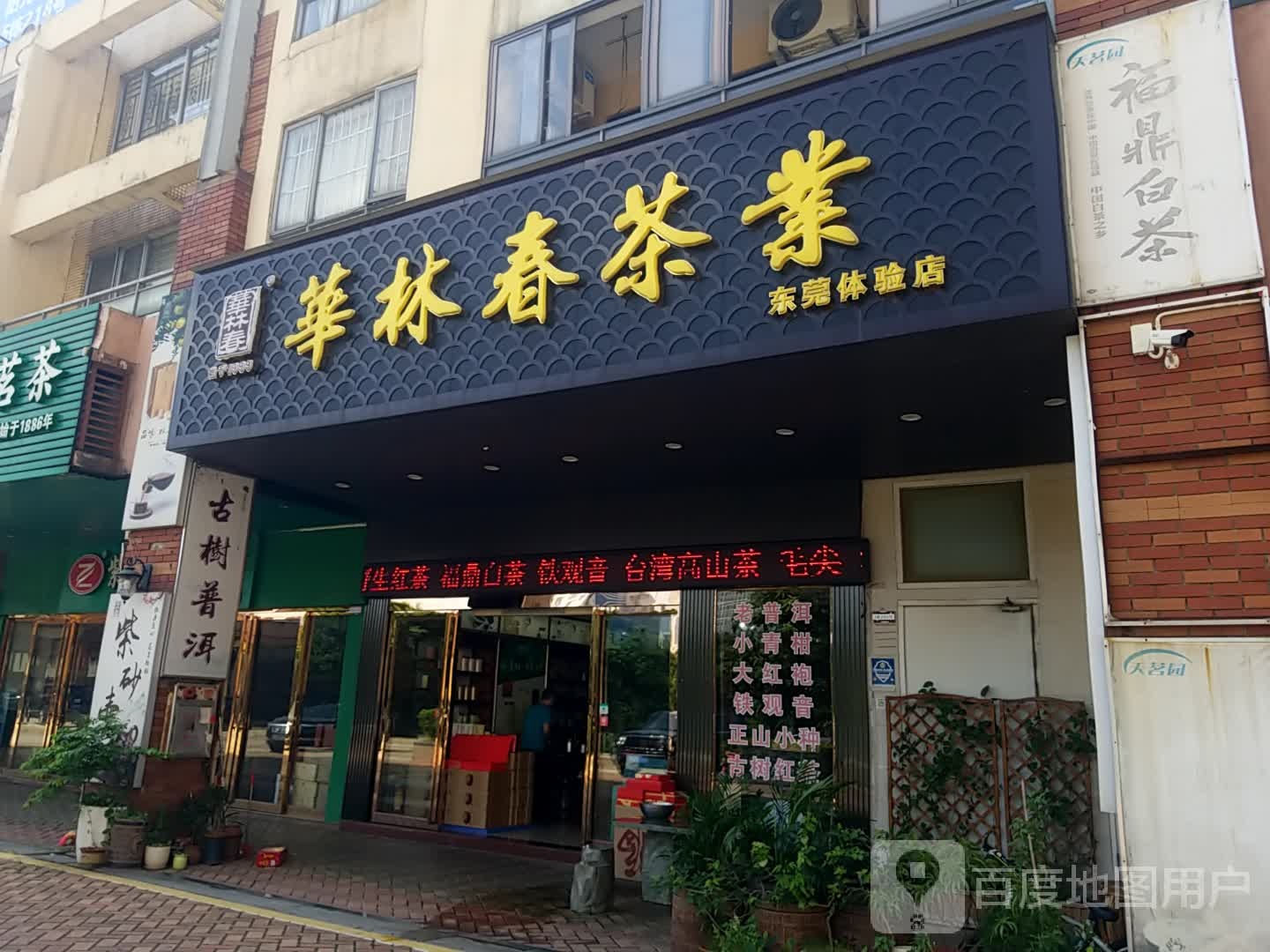 华林春茶业(东莞体验店)