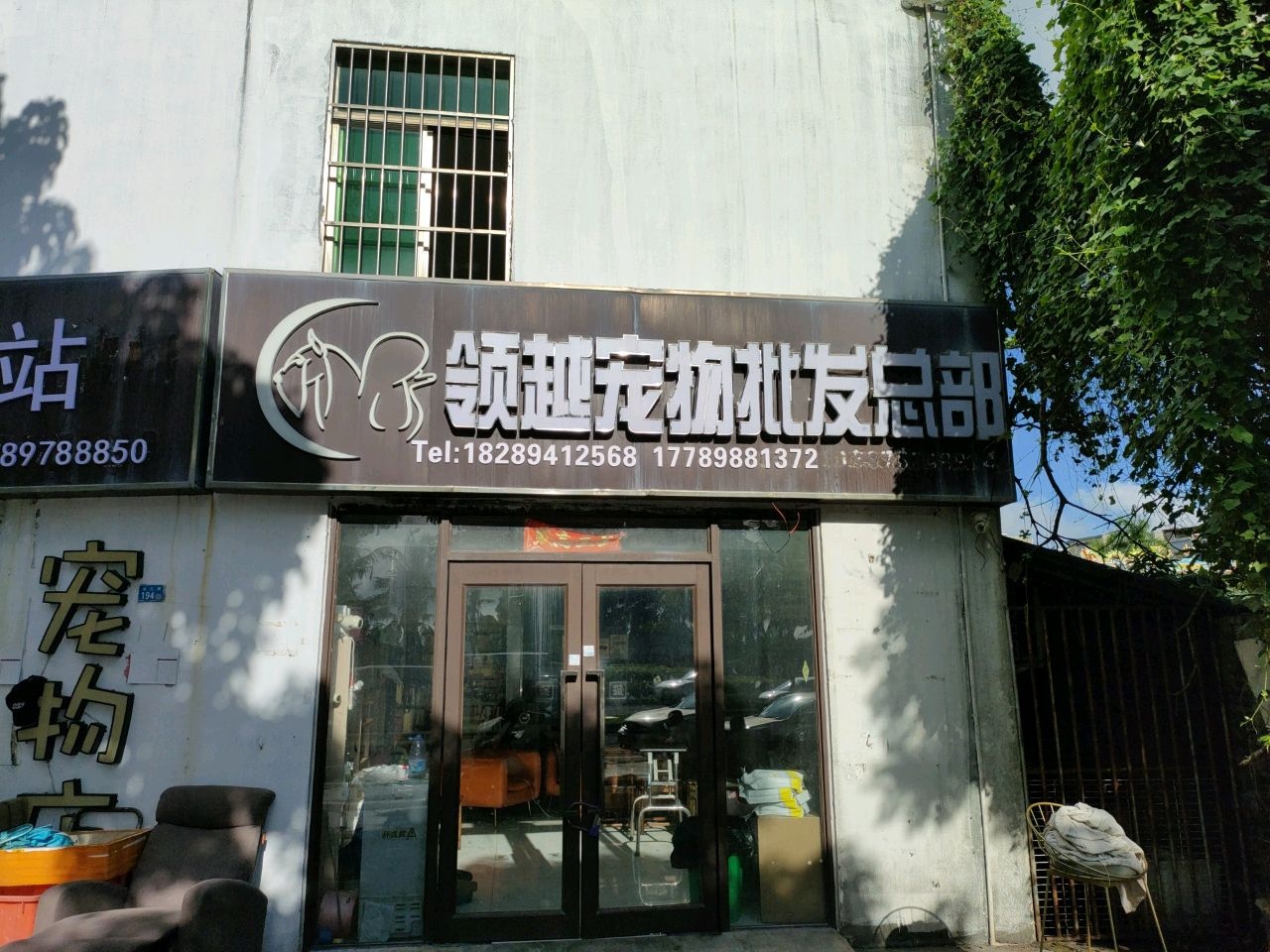 领越宠物批发总部