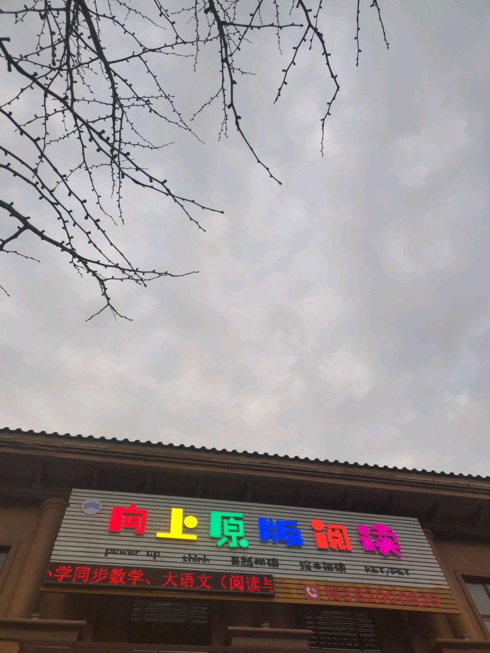 向上原版阅读