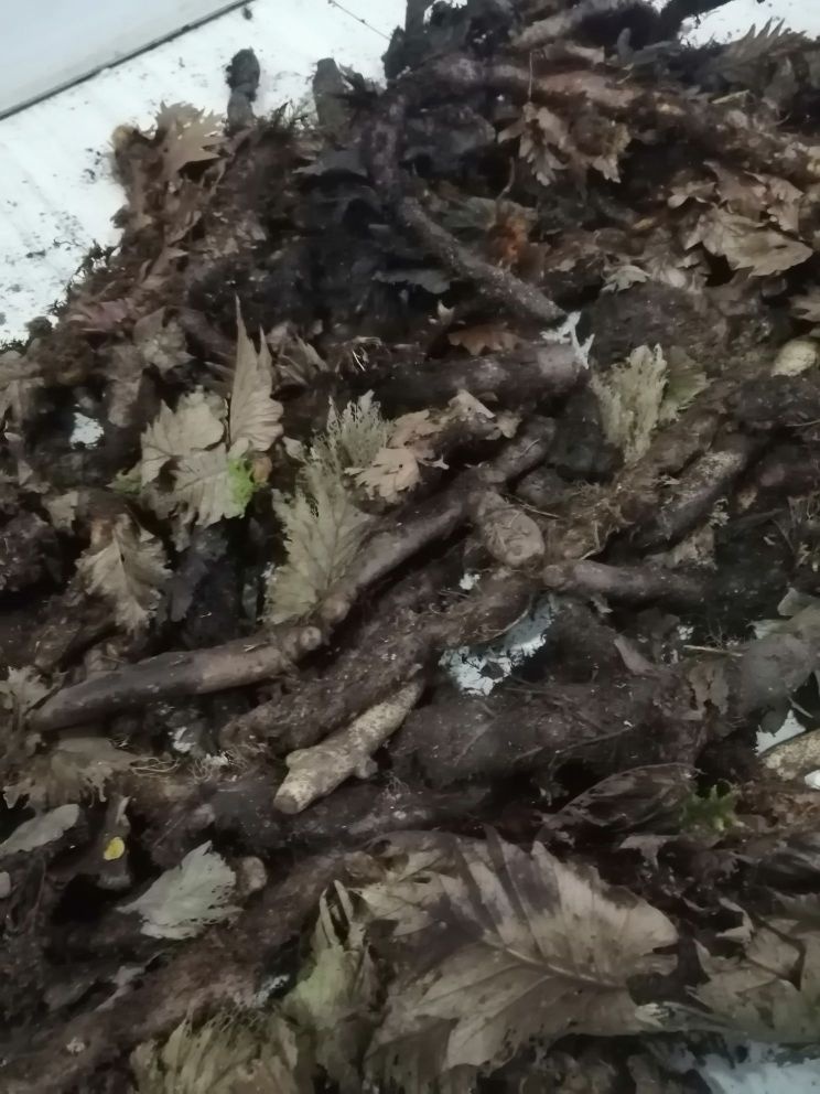 盘州市禹骁中药材收购站