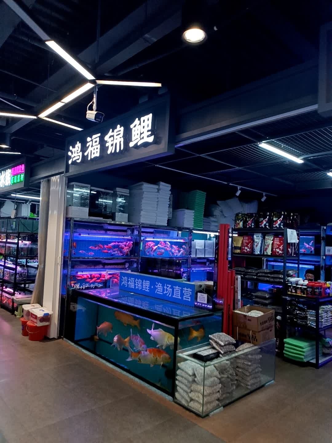兄弟水族