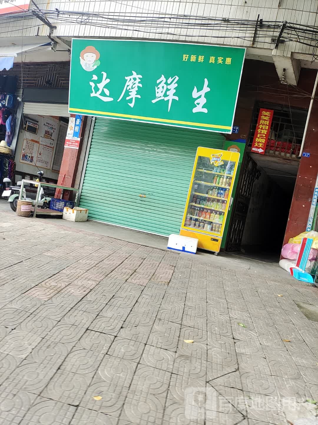达摩鲜生