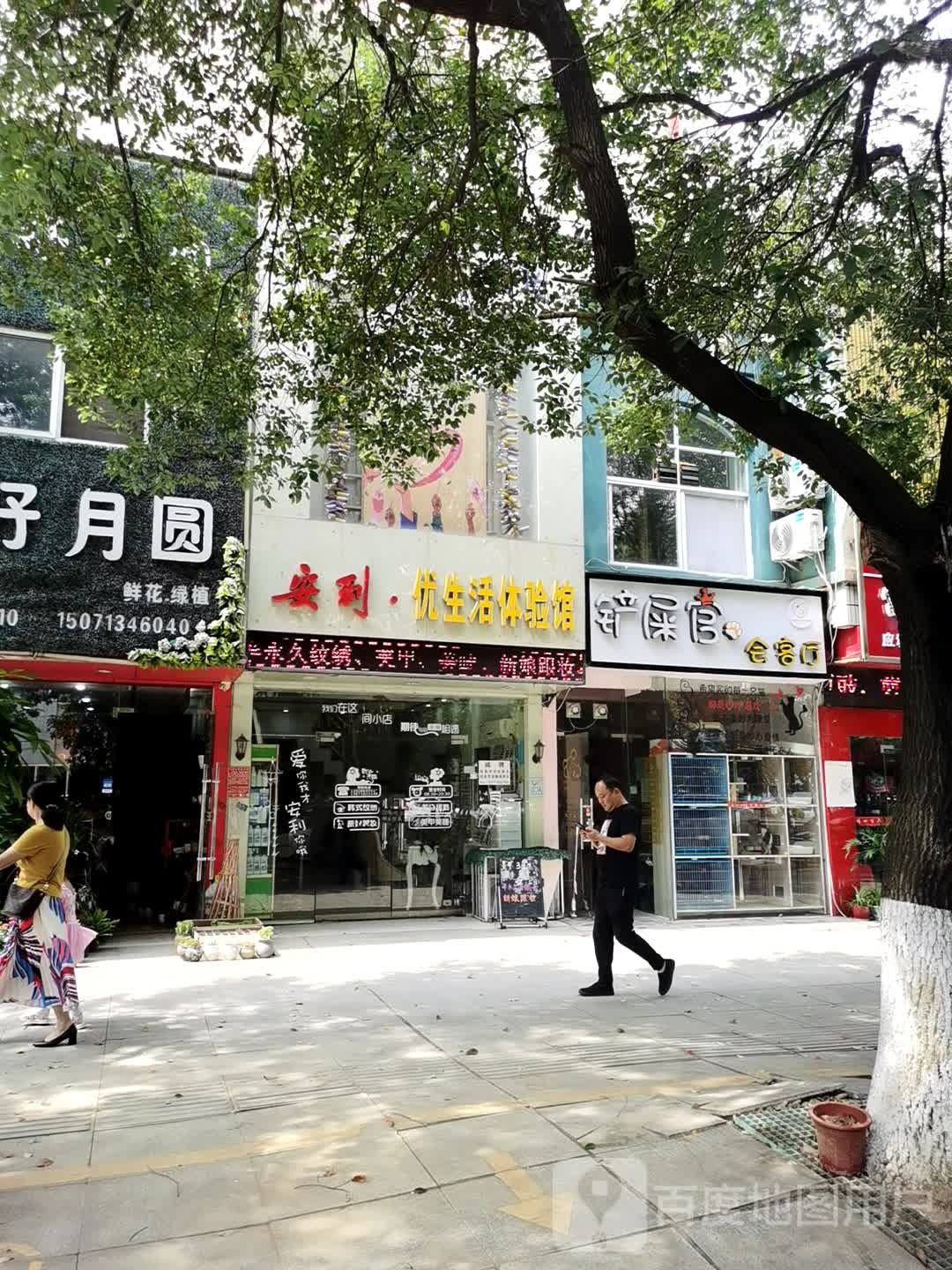 铲屎官会客厅