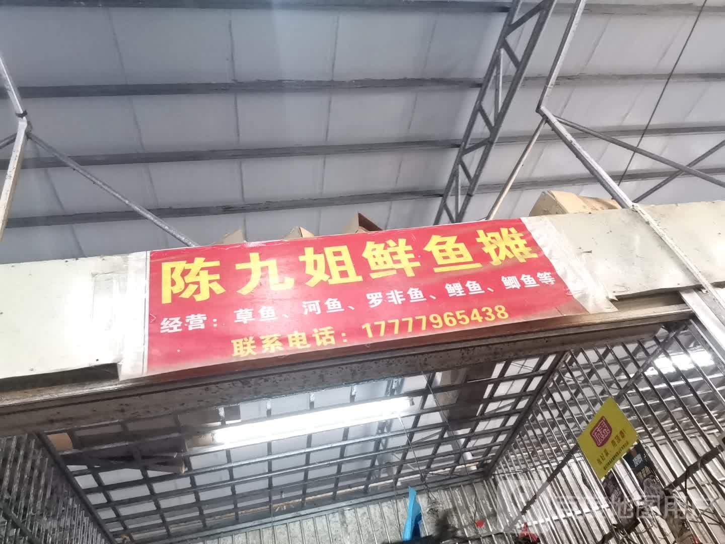 陈九姐鲜鱼摊