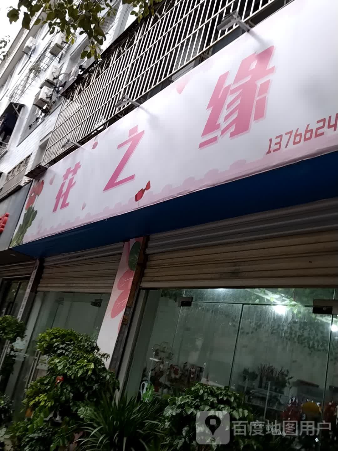 花之缘(文苑路店)