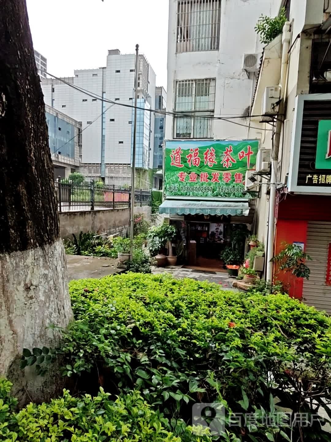 道福缘茶叶(假日江南雅筑店)