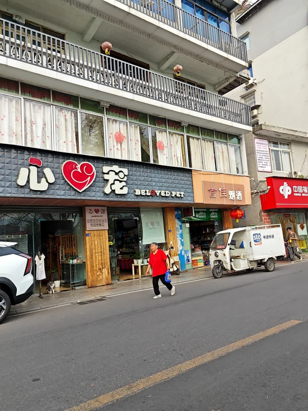 心宠