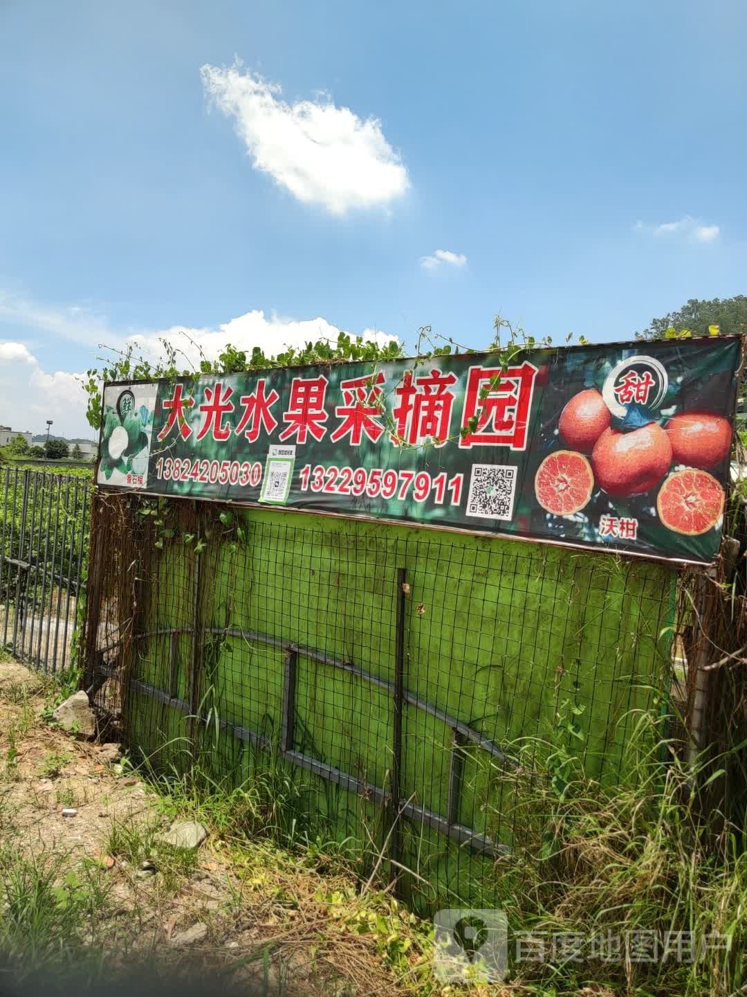 大光水果采摘园