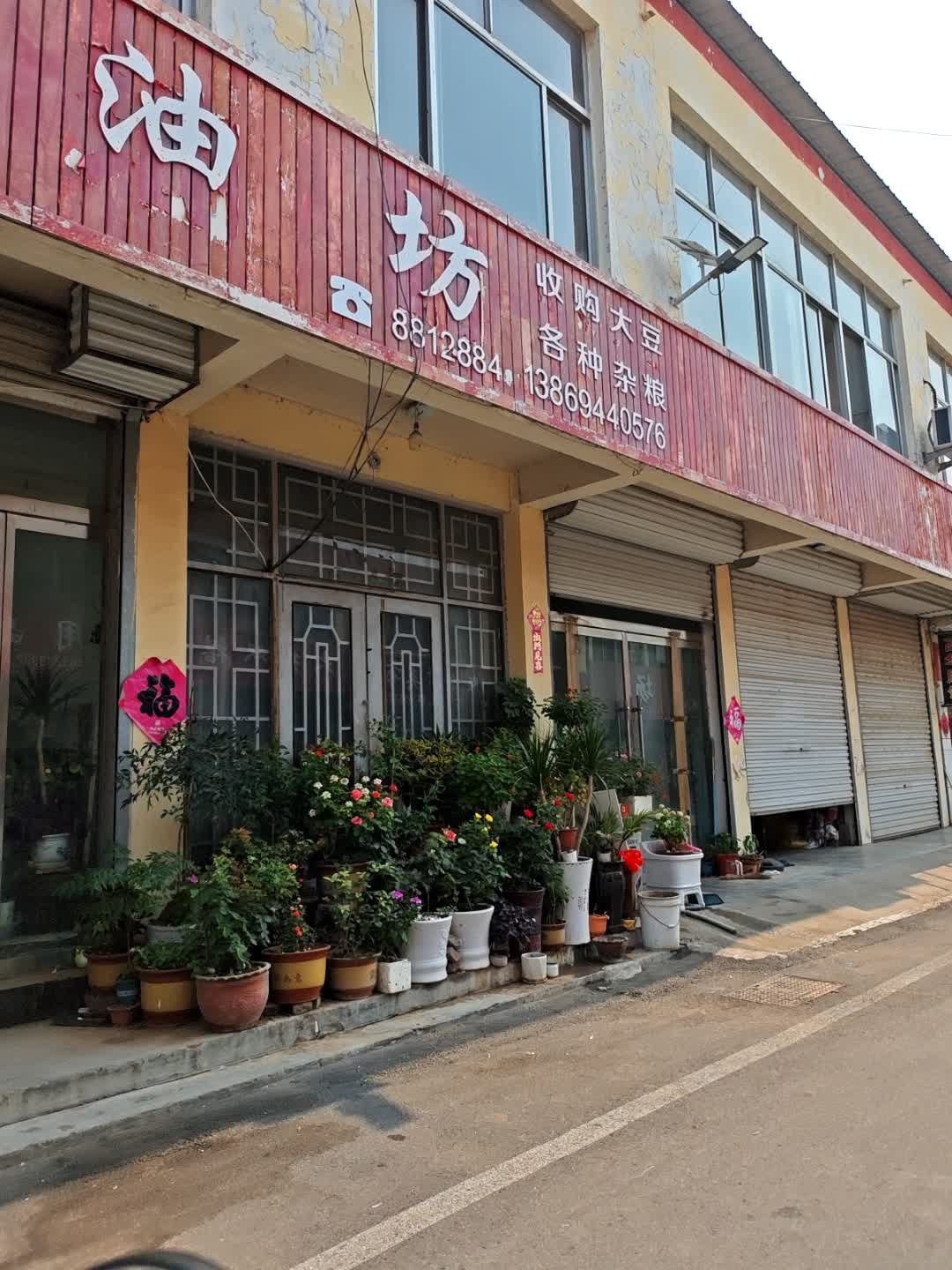 收购大豆各种杂粮