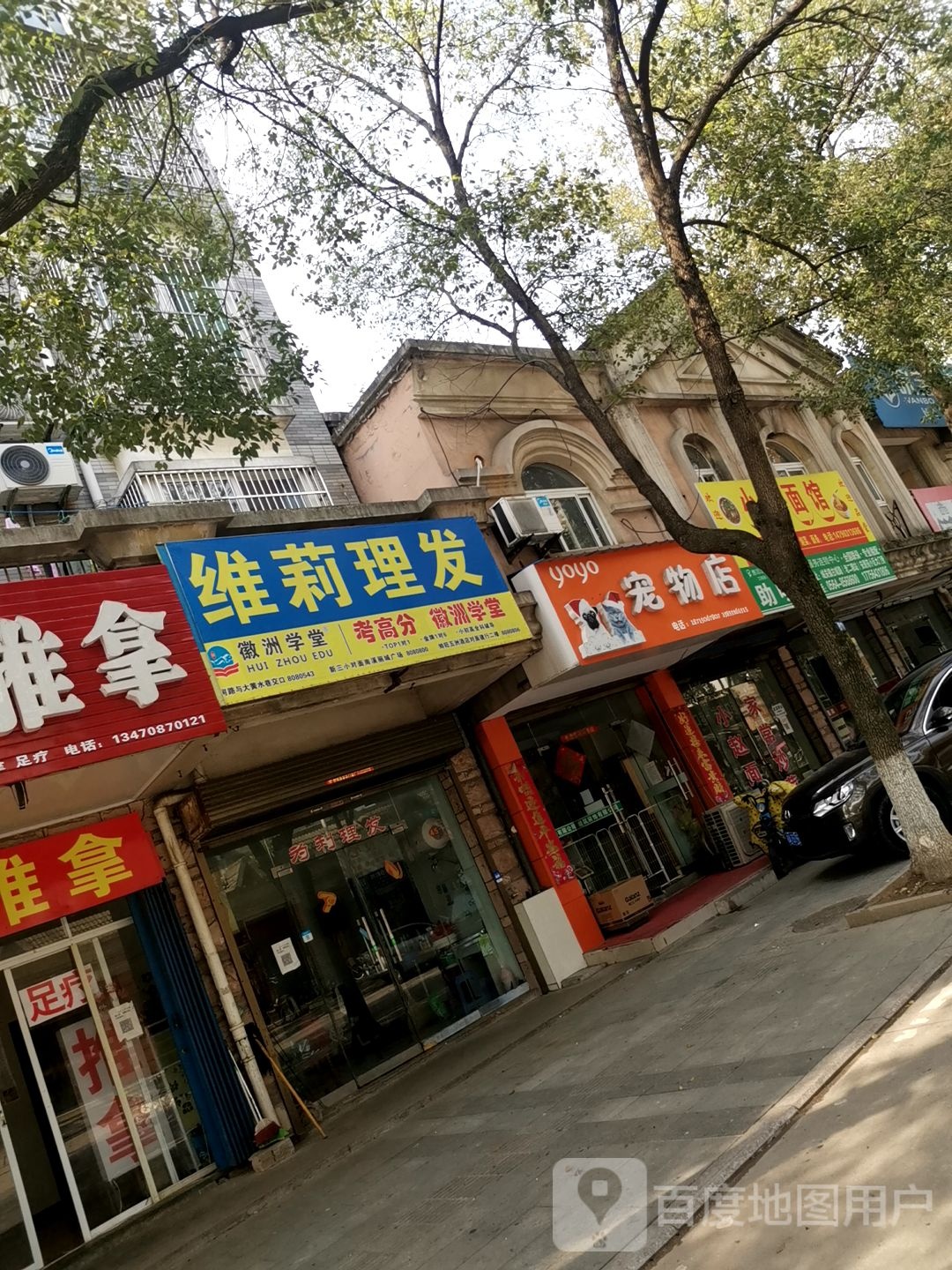 yoyo萌宠物店