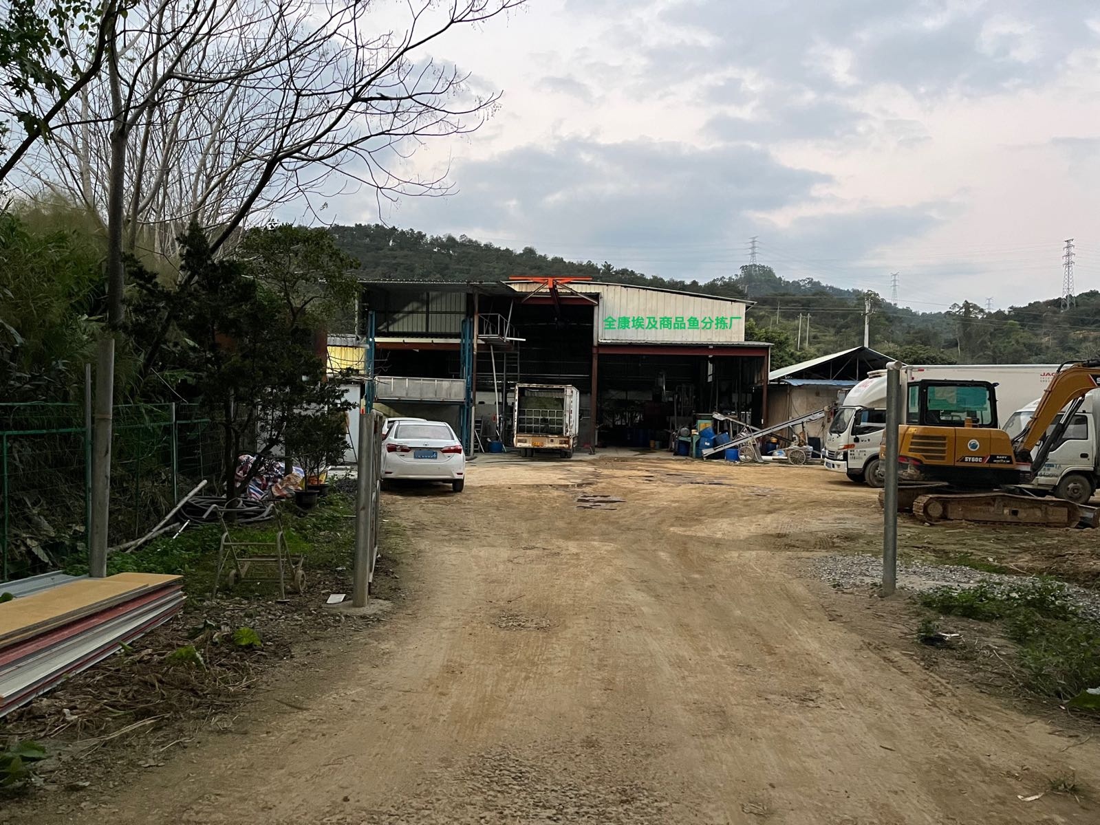 全康埃及商品鱼分拣场