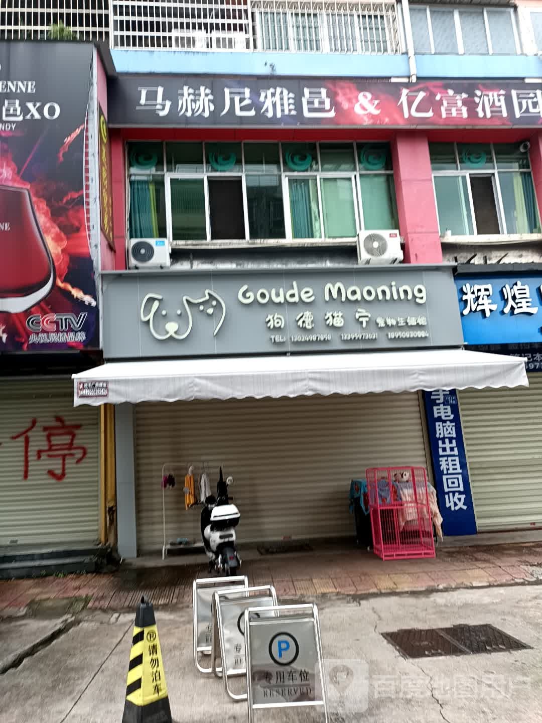 狗德猫宁宠物生活管(龙腾北路店)