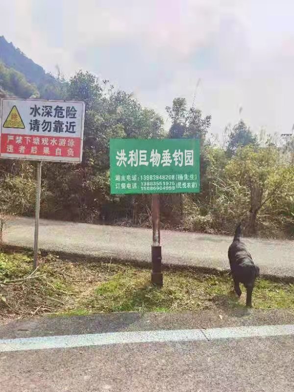 洪利巨物垂钓园