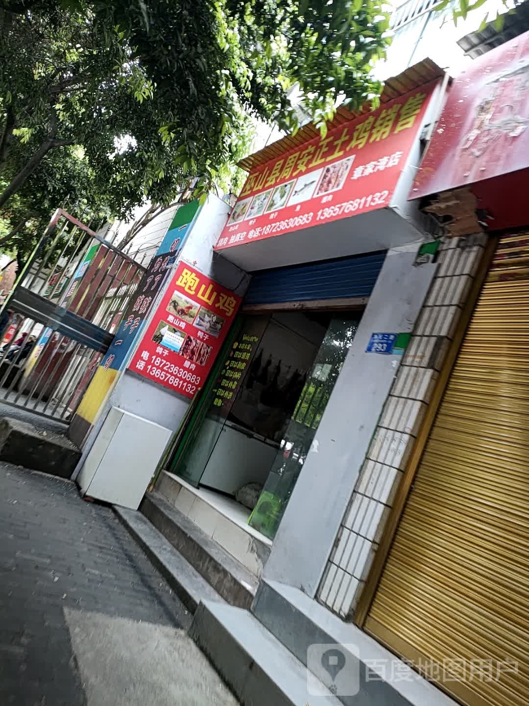 巫山县周安正土鸡销售