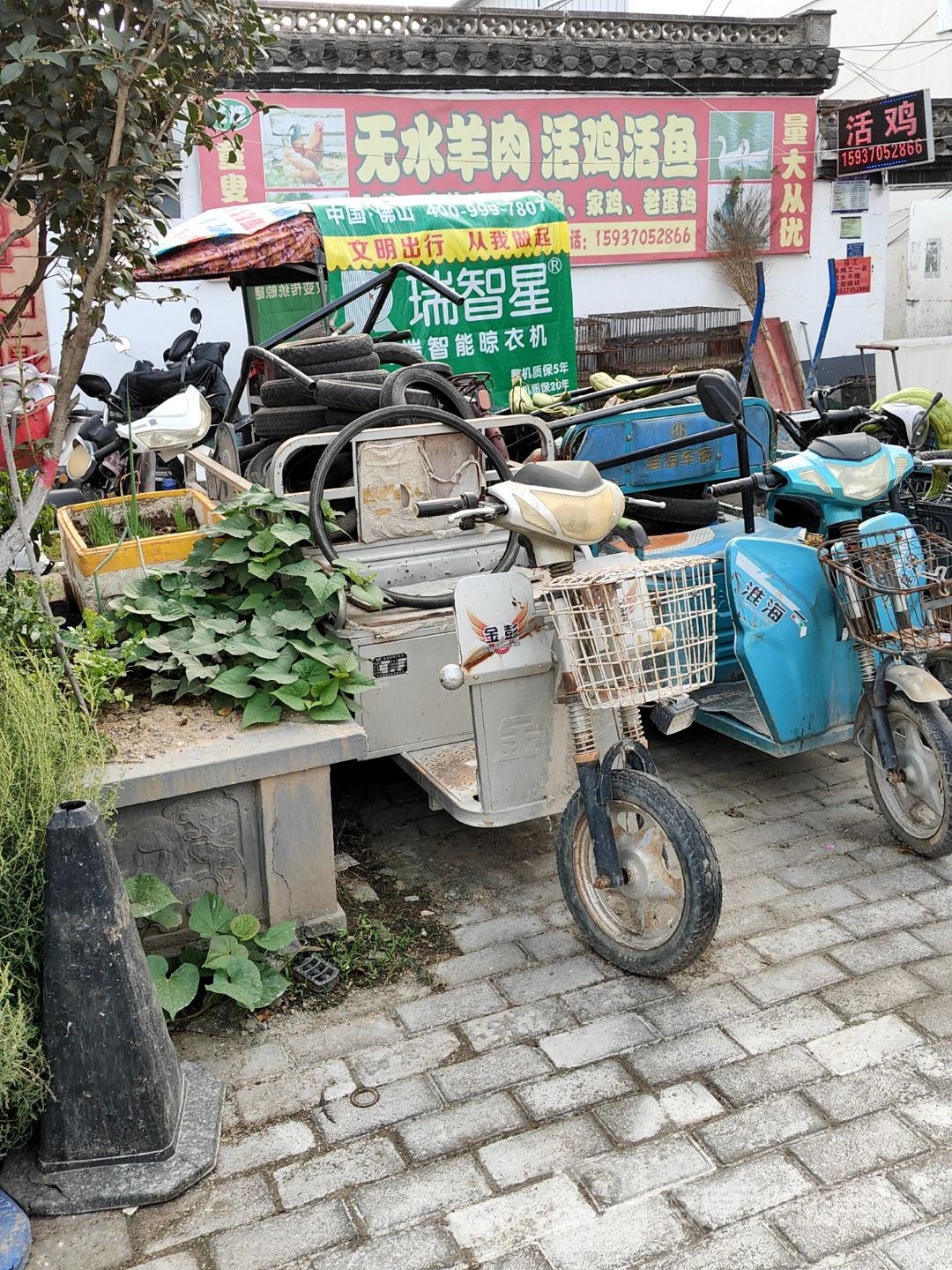 永城市光辉无水羊肉活鸡活鱼