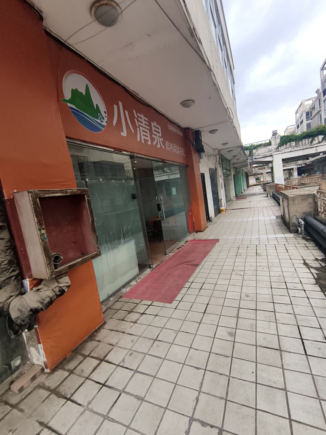 小清泉素养阅读书社