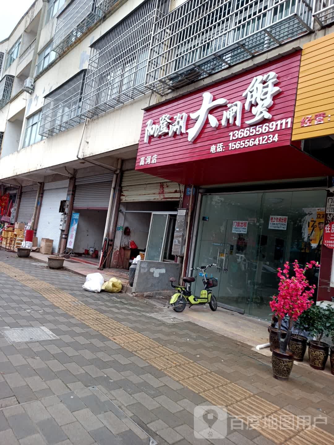 阳澄湖大闸蟹(高河店)
