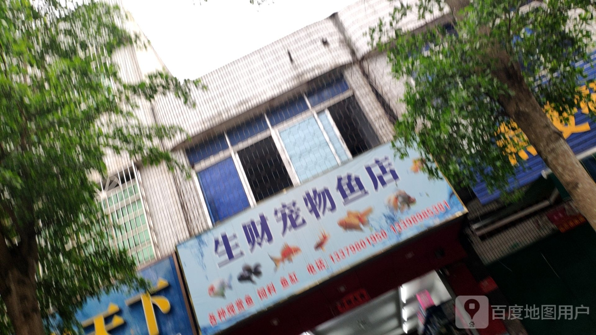 生财宠物鱼店