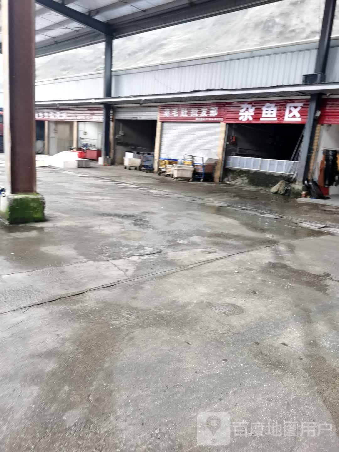 杂鱼区