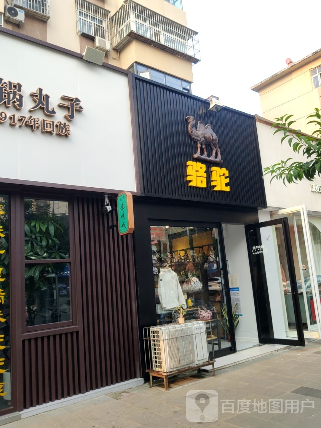 骆驼(纬四路店)