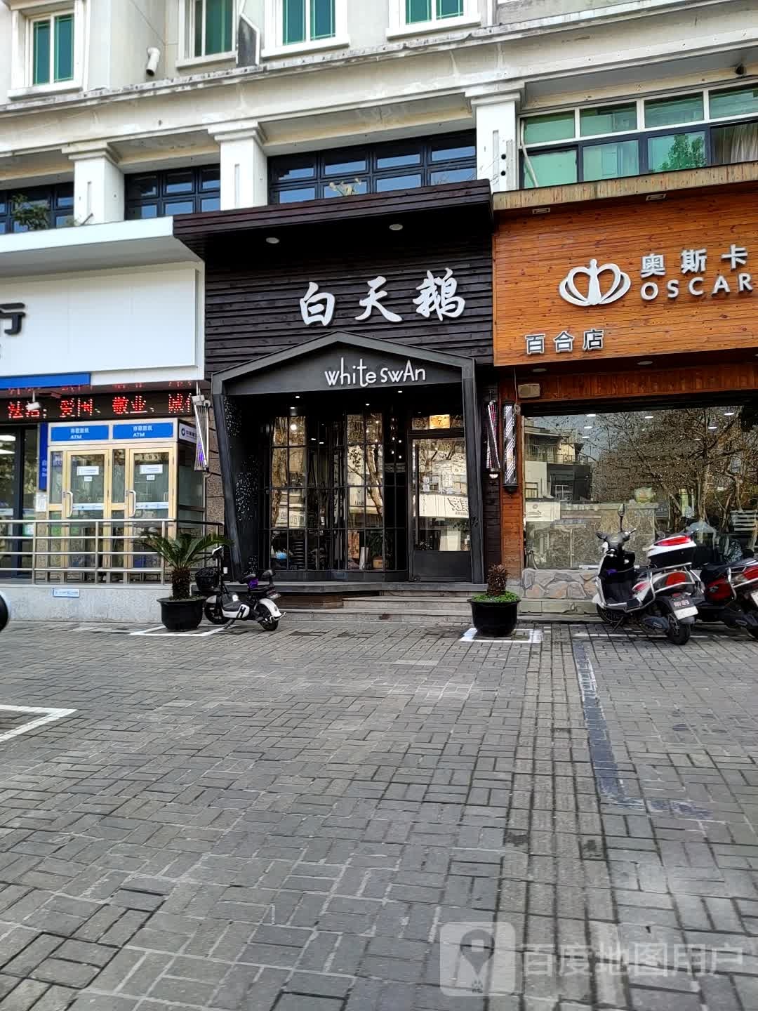 白天鹅造型(湖州店)