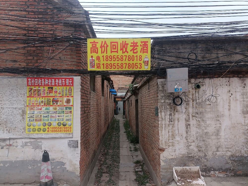 老酒老钱币回收