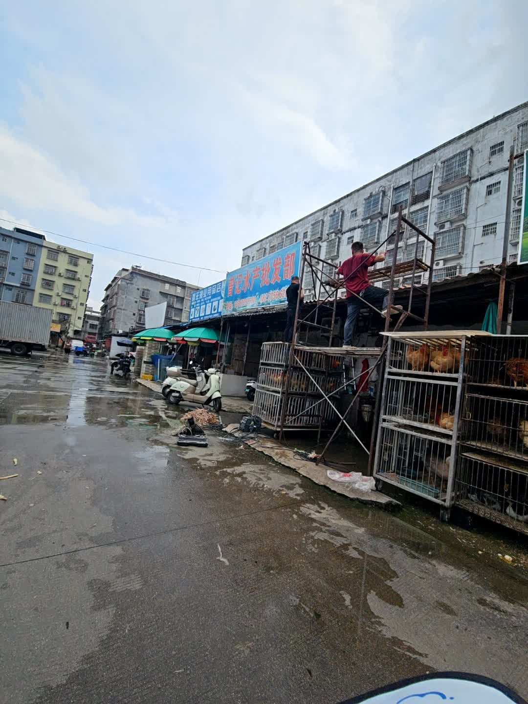 曾记水产批发部