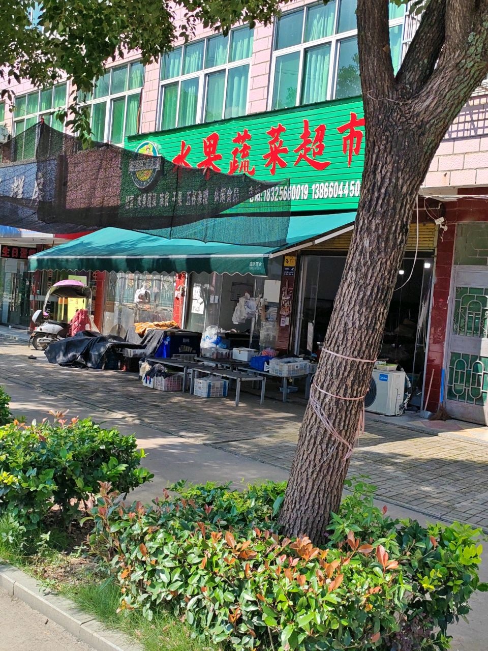 水果蔬菜超市