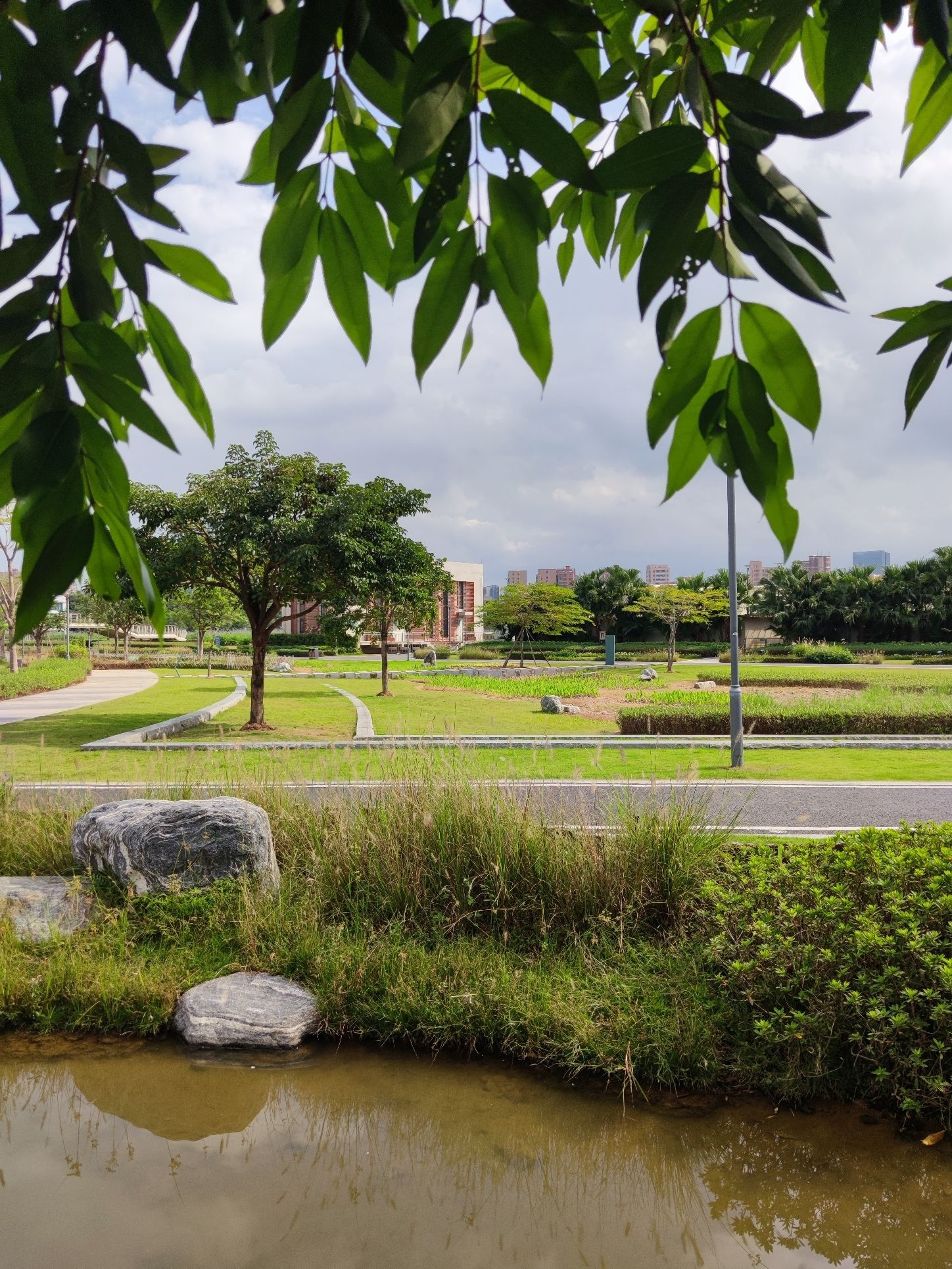 楼村湿地公园