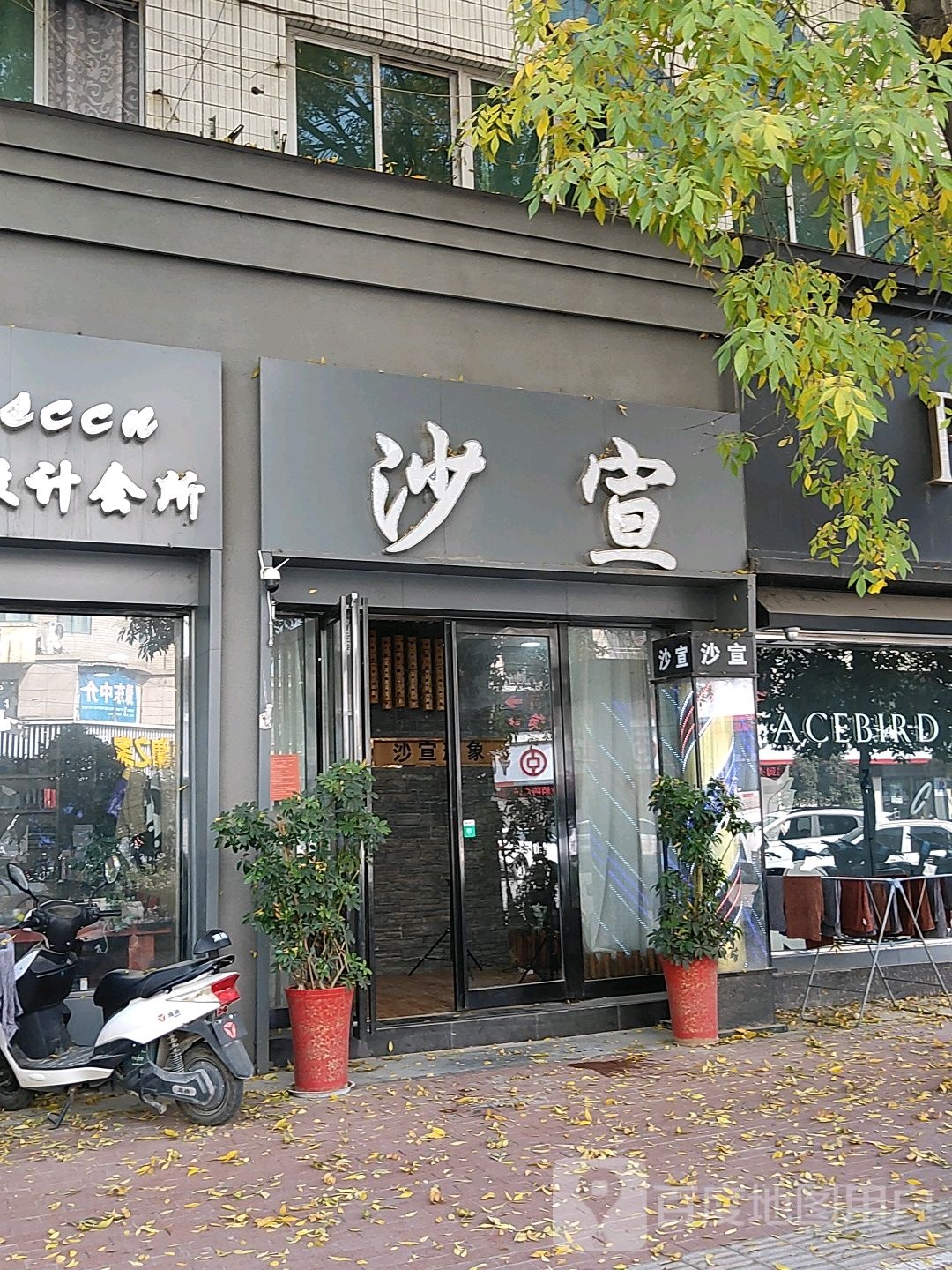 沙宣白造型(柘城店)